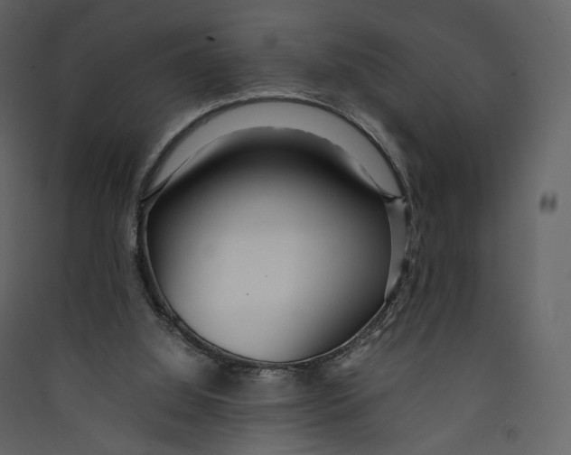 X0000089410060200707131809