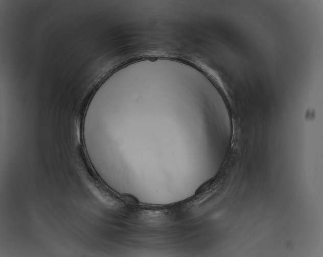 X0000089410061200707131809