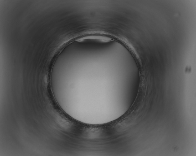 X0000089410063200707131809