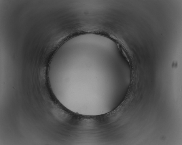 X0000089410066200707131809
