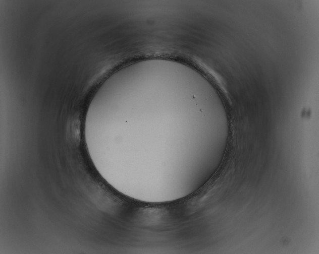 X0000089410067200707131809