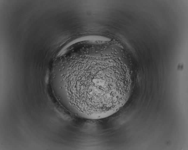 X0000089410076200707131809