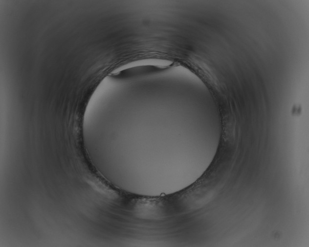 X0000089410077200707131809