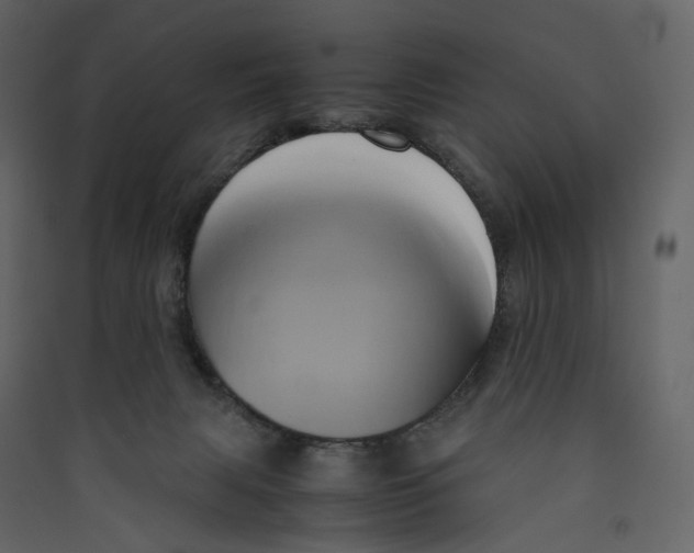 X0000089410079200707131809