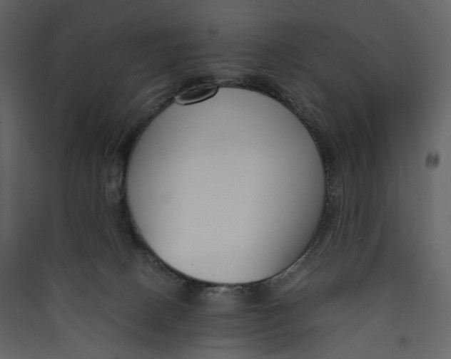 X0000089410082200707131810
