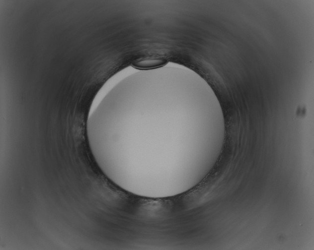 X0000089410083200707131810