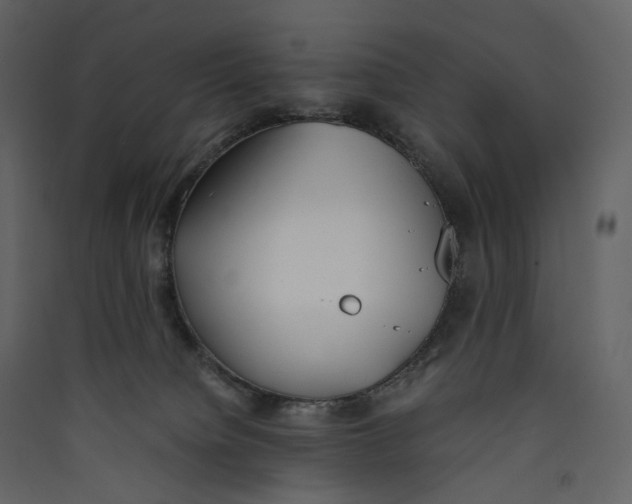 X0000089410084200707131810