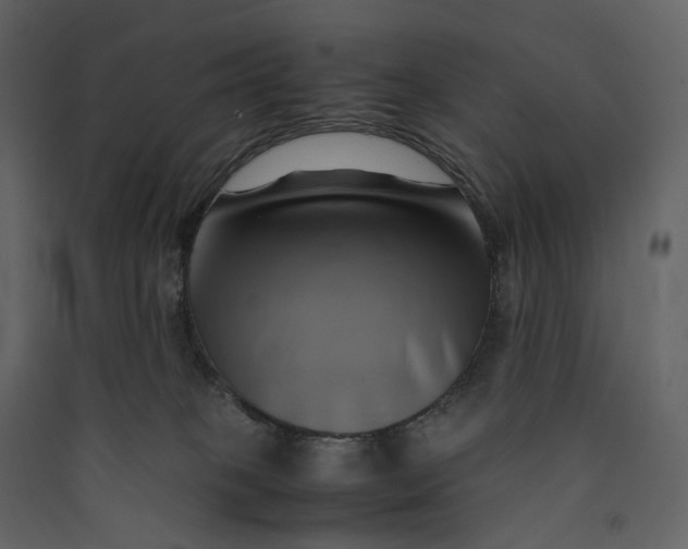 X0000089410085200707131810
