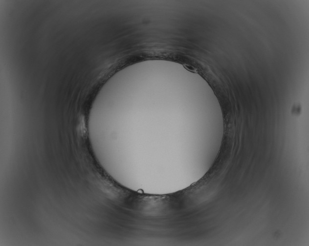 X0000089410089200707131810