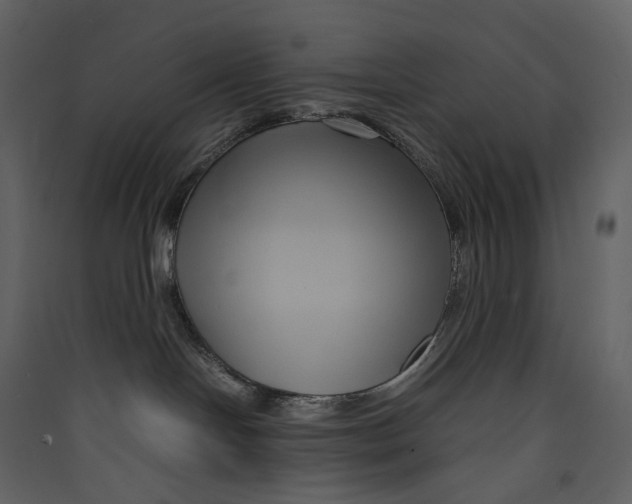 X0000089410094200707131810
