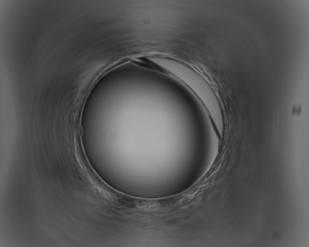 X0000089410097200707131809