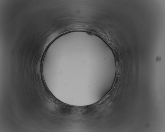 X0000089410099200707131809