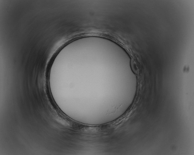 X0000089410102200707131809