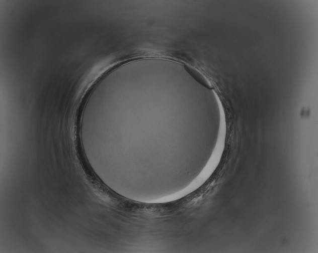 X0000089410103200707131809