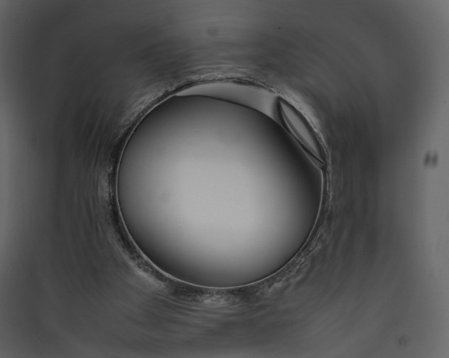 X0000089410105200707131809