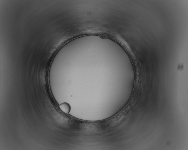 X0000089410106200707131809