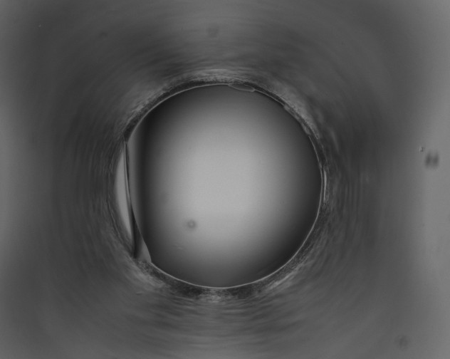 X0000089410109200707131809