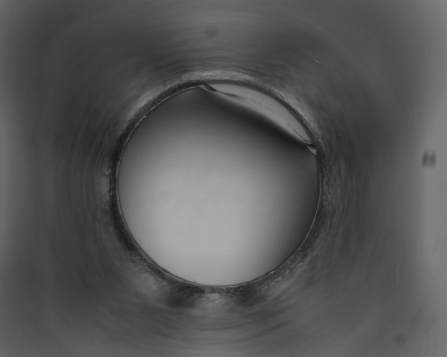 X0000089410111200707131809