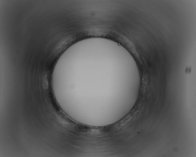 X0000089410114200707131809