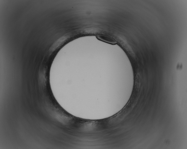 X0000089410116200707131809