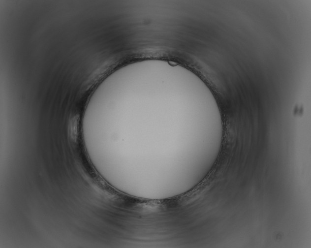 X0000089410118200707131809