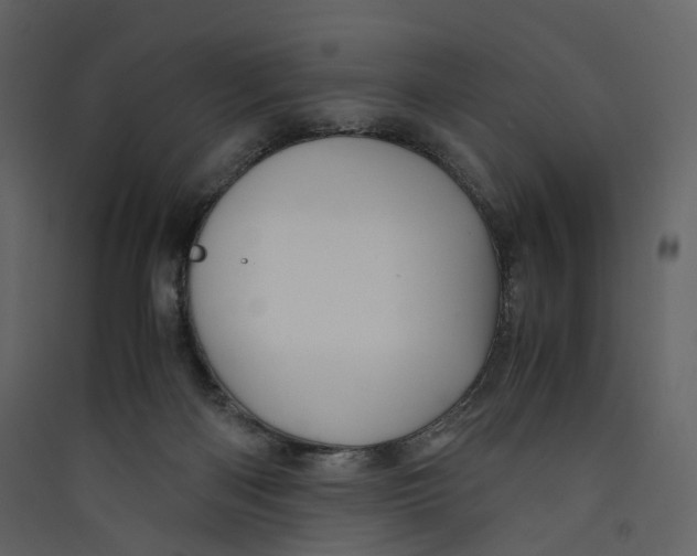 X0000089410122200707131809