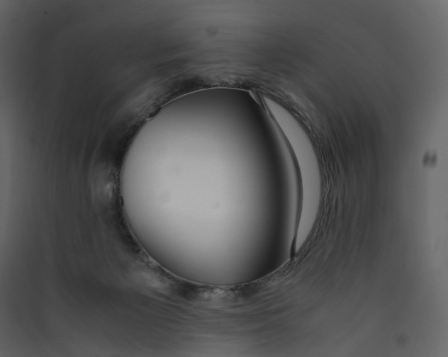 X0000089410125200707131809