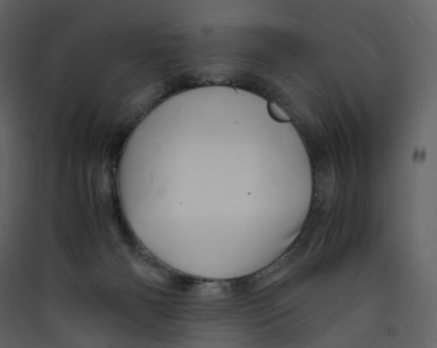 X0000089410126200707131809