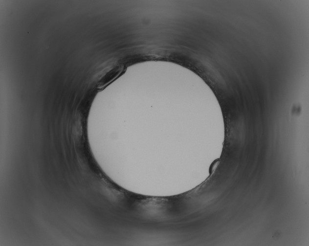X0000089410128200707131809