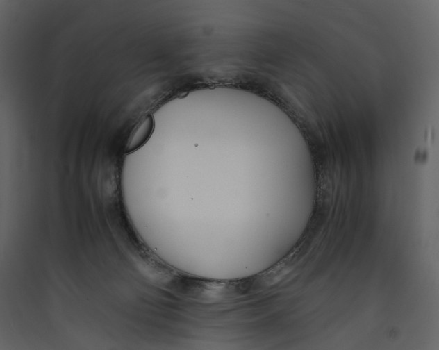 X0000089410130200707131809