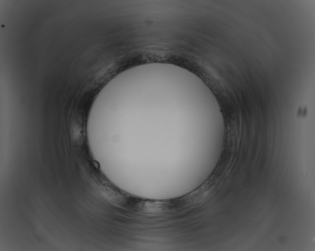 X0000089410134200707131809