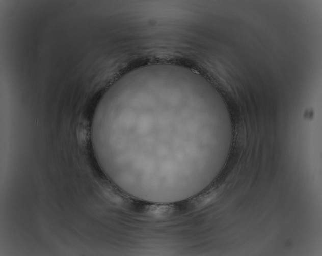 X0000089410135200707131809