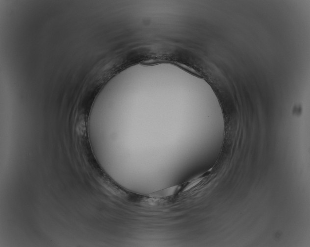 X0000089410137200707131809