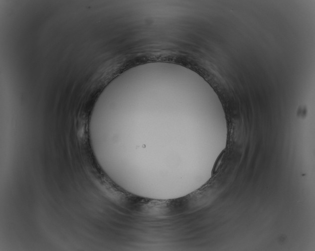 X0000089410138200707131809