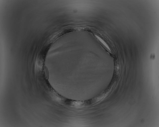 X0000089410139200707131809
