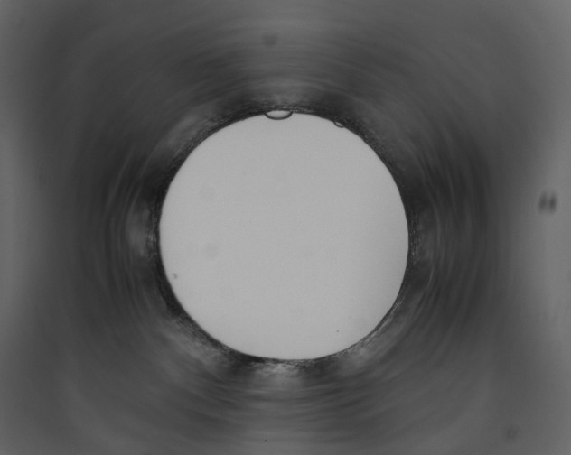 X0000089410140200707131809