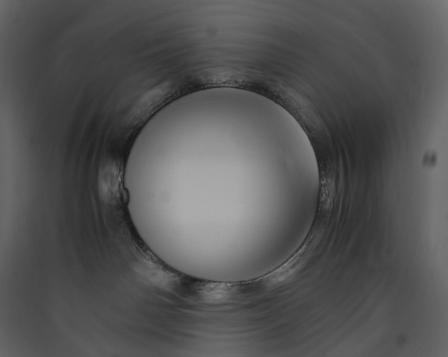 X0000089410142200707131808