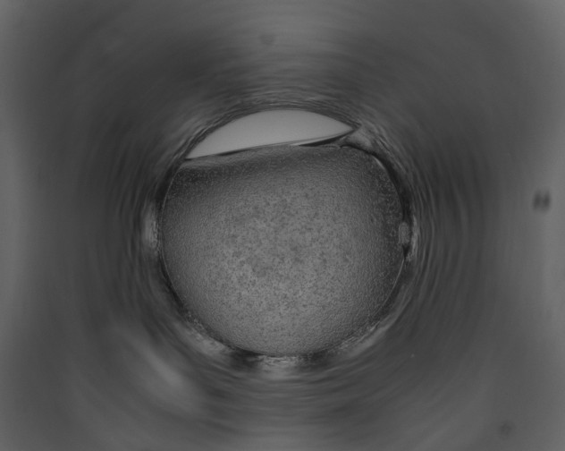 X0000089410143200707131808