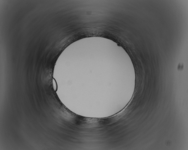 X0000089410144200707131808