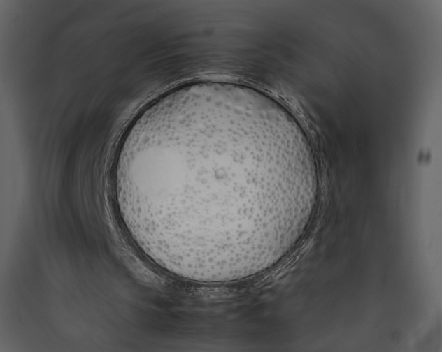 X0000089410145200707131808