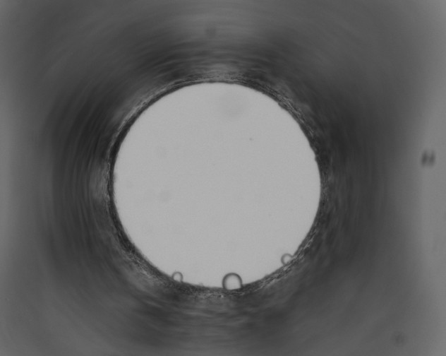 X0000089410146200707131808