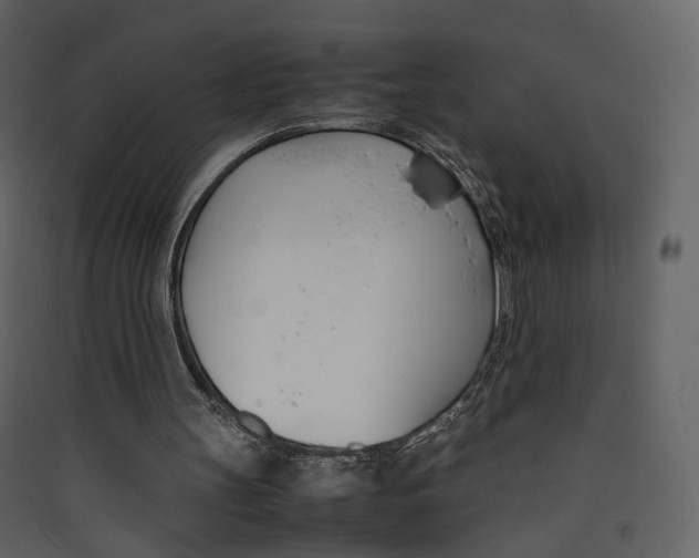 X0000089410147200707131808