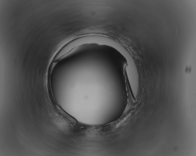 X0000089410148200707131808