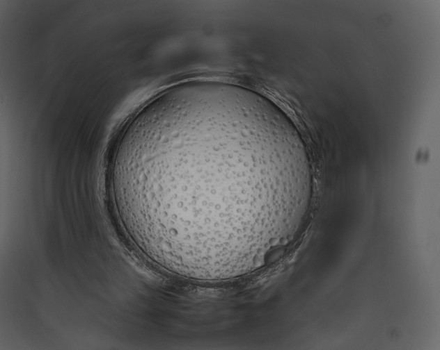 X0000089410149200707131808