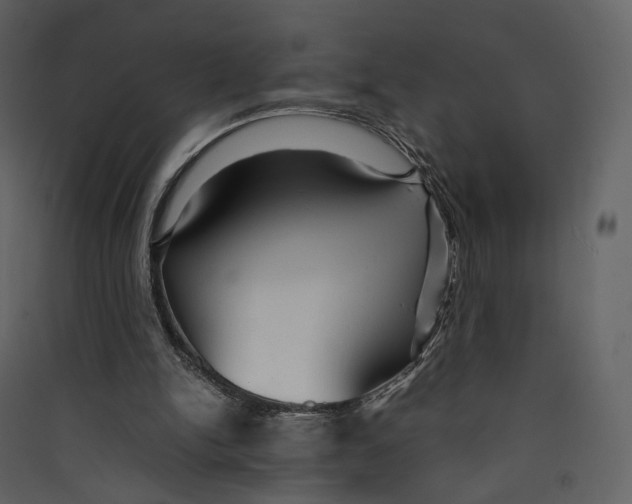 X0000089410150200707131808