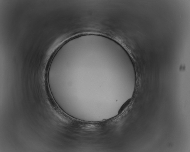 X0000089410151200707131808