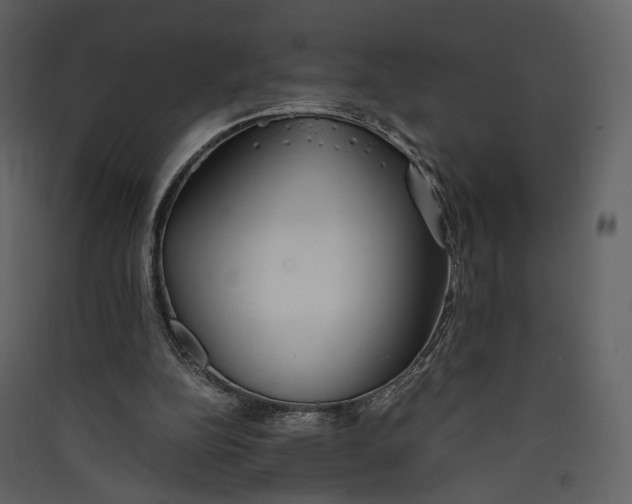 X0000089410152200707131808