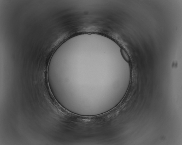 X0000089410153200707131808
