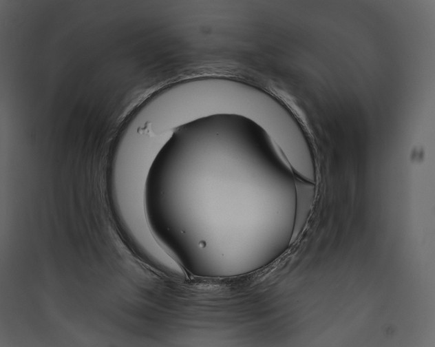 X0000089410154200707131808