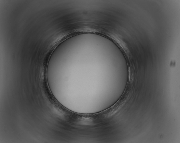 X0000089410157200707131808